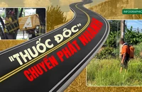 Infographic: Chi tiết đường đi của thuốc cấm đội lốt thương mại điện tử