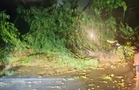 Đèo Sông Pha trên quốc lộ 27 sạt lở nặng gây tắc nghẽn giao thông