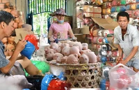 Làng nghề làm heo đất ở Bình Dương