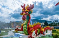 Háo hức chờ đón linh vật rồng tại Bình Định