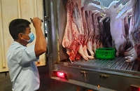 Thịt heo đưa vào chợ đầu mối Hóc Môn được Sở An toàn thực phẩm TP.HCM kiểm soát chặt chẽ. Ảnh: TRẦN NGỌC 