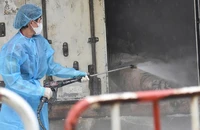 Vụ hổ chết hàng loạt: Truy tìm nguồn lây cúm A/H5N1