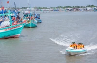 Cà Mau: Điểm sáng từ hoạt động chống khai thác IUU