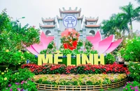 Hà Nội: Chuẩn bị tổ chức Festival Mê Linh kéo dài 4 ngày