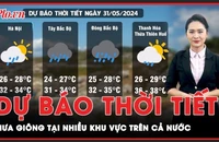 Dự báo thời tiết 31-5: Cảnh báo mưa giông tại nhiều khu vực trên cả nước
