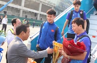 Những hình ảnh đón đội tuyển bóng đá Việt Nam mang Cúp vàng về nước 