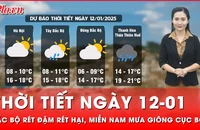 Thời tiết ngày 12-01: Miền Bắc rét đậm rét hại, miền Nam mưa giông cục bộ