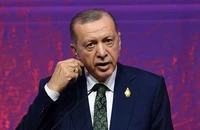 Ông Erdogan: Thổ Nhĩ Kỳ sẽ khởi động chiến dịch trên bộ ở Syria 'khi thuận tiện'