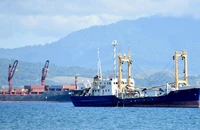 Công ty Trung Quốc trúng dự án nâng cấp cảng ở Quần đảo Solomon