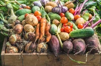 Lợi ích của việc ăn các sản phẩm hữu cơ