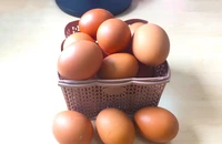 Thực phẩm giàu kẽm giúp miễn dịch tốt hơn
