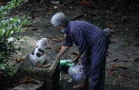 Cảm phục tấm lòng bà cụ U70 cưu mang động vật hoang trước cổng Thảo Cầm viên