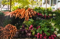 Cách để cải thiện mật độ xương và giảm nguy cơ viêm xương khớp