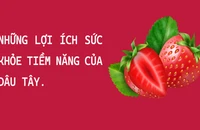 Những lợi ích sức khỏe bất ngờ của dâu tây