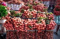 8 lợi ích bất ngờ của quả vải