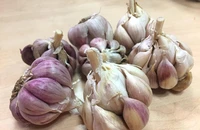 Ăn 10 thực phẩm này để giúp lá phổi khỏe mạnh hơn