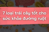 7 loại trái cây tốt cho sức khỏe đường ruột 