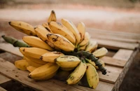 Những thực phẩm dễ tiêu hóa tốt cho dạ dày