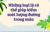 Những loại lá có thể giúp kiểm soát lượng đường trong máu