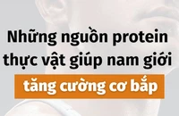 Những nguồn protein thực vật giúp nam giới tăng cường cơ bắp