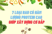 7 loại rau có hàm lượng protein cao giúp xây dựng cơ bắp 