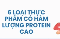 6 loại thực phẩm có hàm lượng protein cao