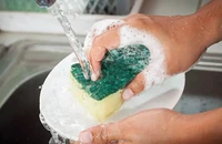 Nhiều rủi ro sức khỏe liên quan đến miếng bọt biển rửa bát nhà bạn