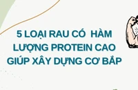 5 loại rau có hàm lượng protein cao giúp xây dựng cơ bắp