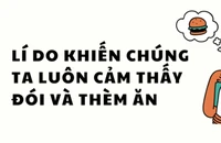 Lí do khiến chúng ta luôn cảm thấy đói và thèm ăn