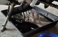  Giảm tuổi thọ xe, hao xăng: Cái giá phải trả khi quên thay nhớt định kỳ