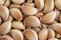 Tại sao ăn tỏi lại giúp kiểm soát mức cholesterol?