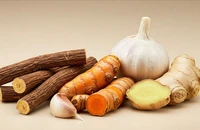 Những loại thảo mộc giúp kiểm soát gan nhiễm mỡ