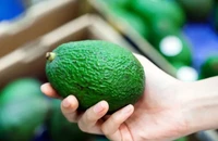 Ăn bơ trước khi ngủ: Lợi ích bất ngờ cho người bị tiền tiểu đường
