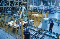 Nông nghiệp Hòa Phát thông báo chào bán 30 triệu cổ phiếu lần đầu ra công chúng