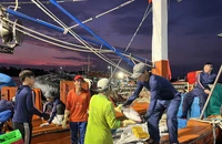 Ngư dân Quảng Bình chung tay gỡ 'thẻ vàng' IUU