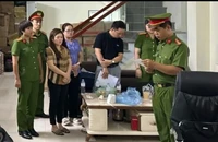 Nữ doanh nhân bị bắt vì lừa huy động vốn trồng sâm Ngọc Linh