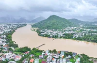 Cầu gỗ Phú Kiểng bắc qua sông Cái ở Nha Trang bị lũ cuốn trôi