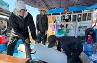 Ngư dân Quảng Ngãi đưa đá xuống hầm chứa để chuẩn bị cho chuyến đánh bắt.