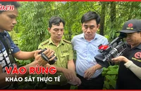 Hình ảnh đoàn công tác lội suối giữa rừng để khảo sát dự án làm hồ chứa nước Ka Pét