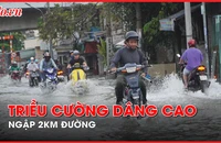 Video: Người dân TP.HCM hì hục dắt xe qua đoạn đường ngập ngày triều cường dâng cao 