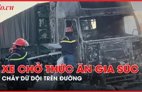 Video: Xe chở thức ăn gia súc cháy dữ dội khi đang di chuyển
