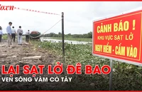 Long An: Người dân lo sợ trước nạn sạt lở đê bao ven sông Vàm Cỏ Tây 