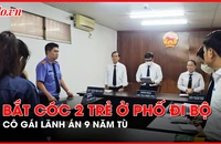 Cô gái bắt cóc hai trẻ ở phố đi bộ Nguyễn Huệ lãnh án