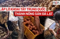 Trailer ĐIỀU TRA: 'Hô biến' khoai tây Trung Quốc thành nông sản Đà Lạt