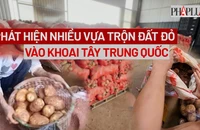 VIDEO: Công an phát hiện nhiều chủ vựa trộn đất đỏ vào khoai tây Trung Quốc