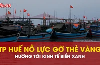 TP Huế nỗ lực gỡ thẻ vàng IUU, hướng tới kinh tế biển xanh