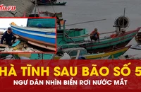 Bão số 5 cuốn phăng ‘sinh kế’ của nhiều ngư dân Hà Tĩnh