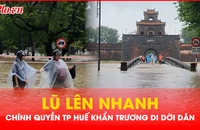 TP Huế: Lũ lên nhanh, chính quyền khẩn trương di dời dân