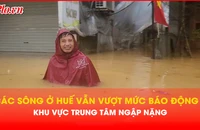 Lũ xuống chậm, trung tâm TP Huế vẫn ngập sâu