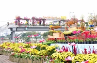 TP.HCM: Nhộn nhịp trên bến dưới thuyền chợ hoa xuân Bến Bình Đông